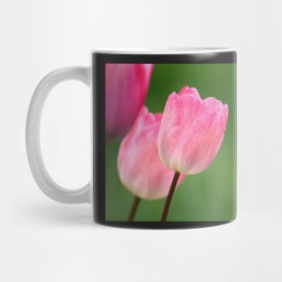 Pink tulips blossom close up, spring floral photo Mug